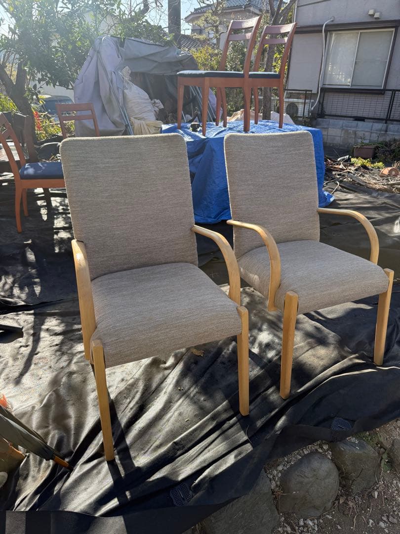 ニトリ Nコレクション C-10 ダイニングチェア 肘付き 2脚セット 引取限定