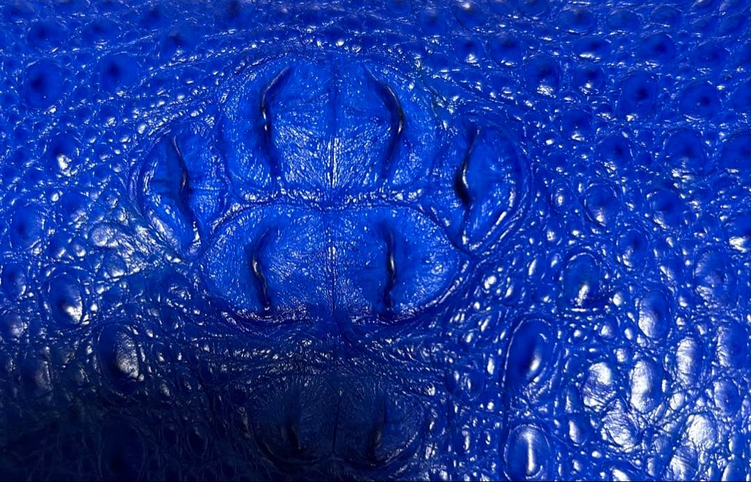 龍*様 新品 クロコダイル ラウンドファスナー メンズ 長財布 クラウン有り　ブ