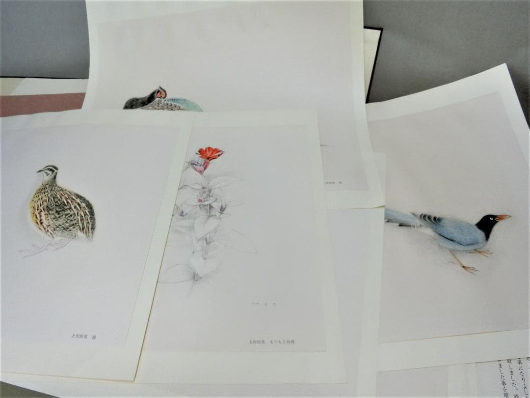 鑑賞　コレクション！【上村松篁　松篁素描　限定発行　銀座松屋　定価10万】◆絵画