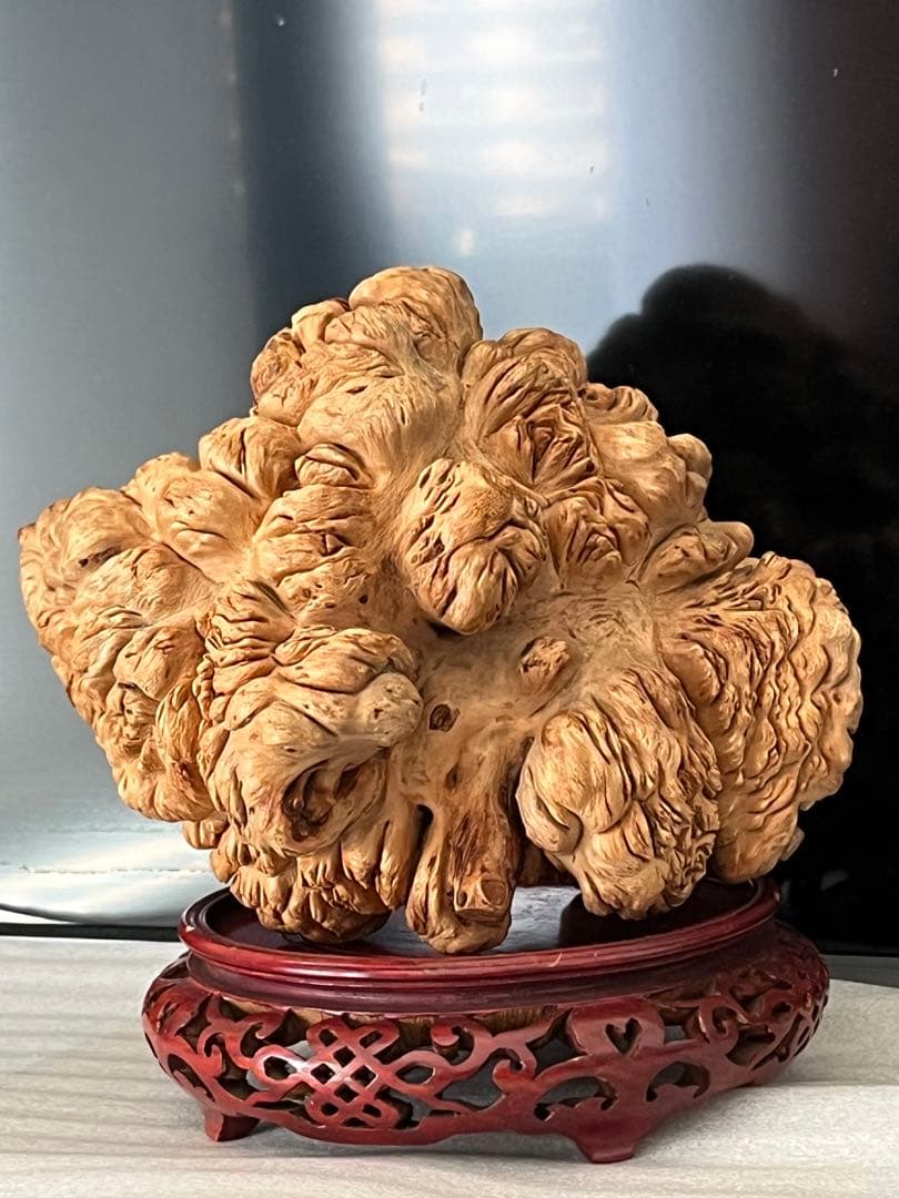 泡瘤 木の瘤 瘤杢 置物