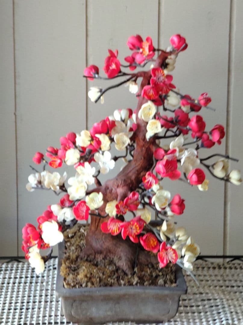 工芸盆栽 梅（赤・白）約60cm