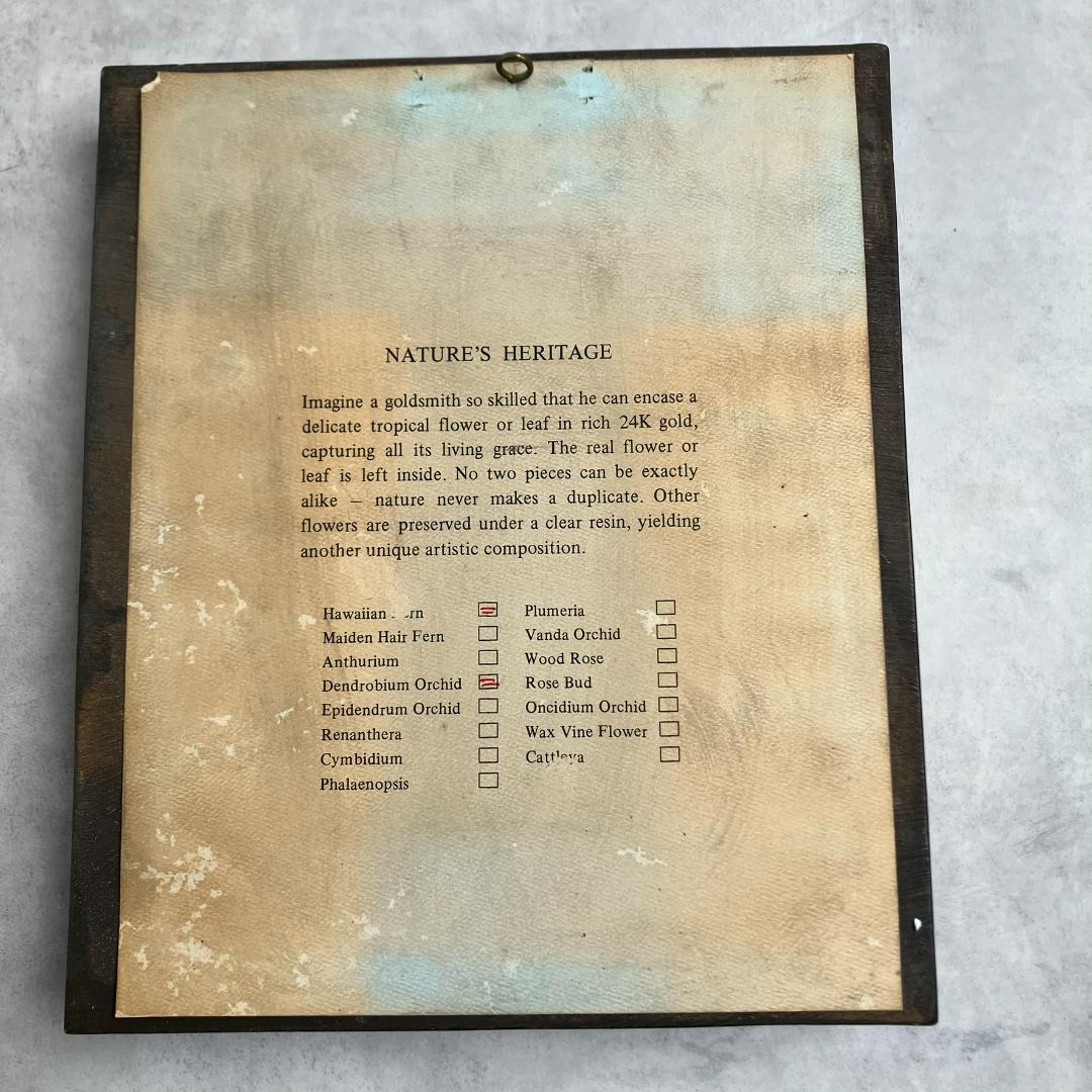 アンティーク　胡蝶蘭　花　金24KGP　リーフインフレーム インテリア ゴールド