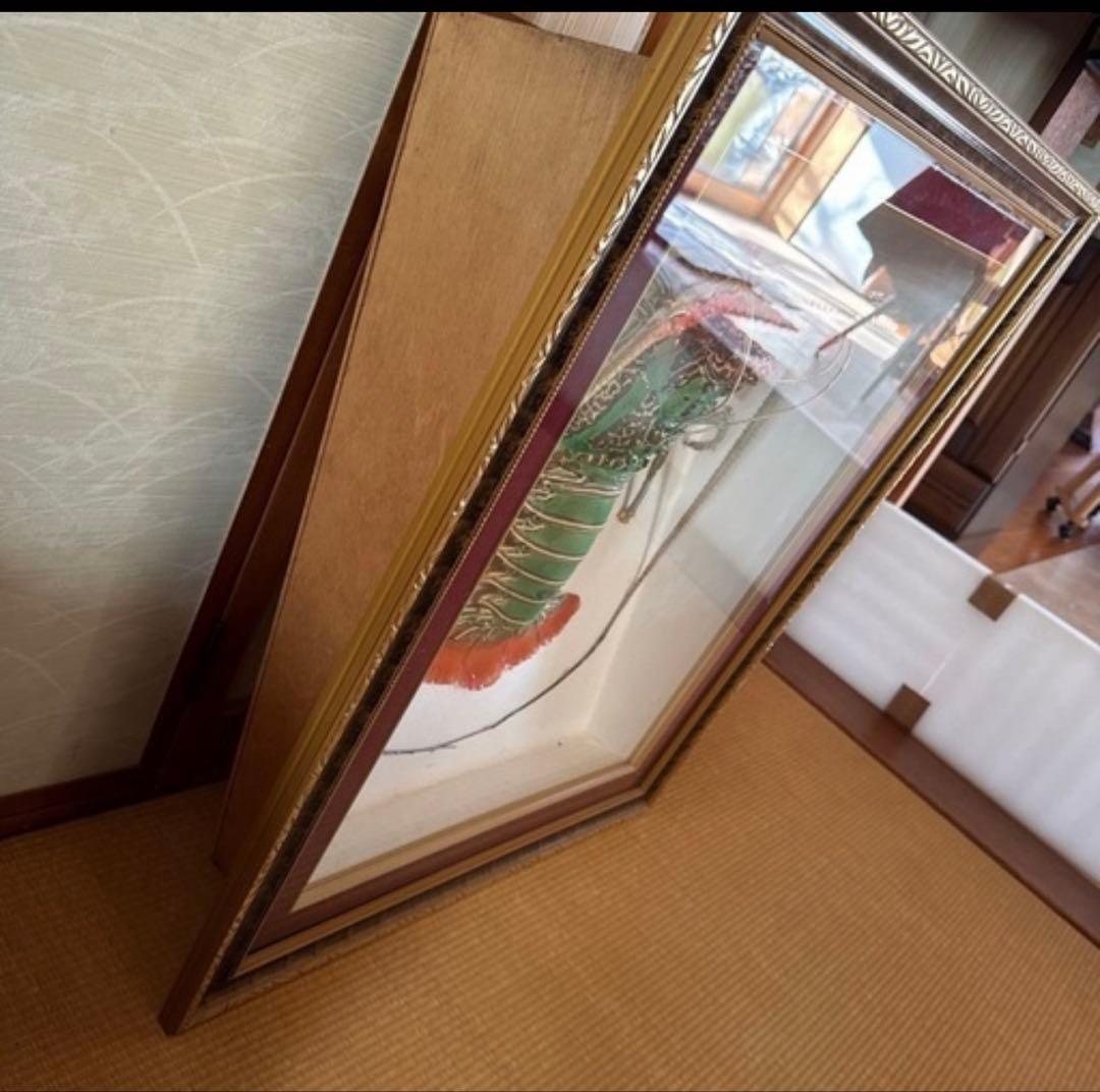 ゴシキエビ 標本 アンティーク