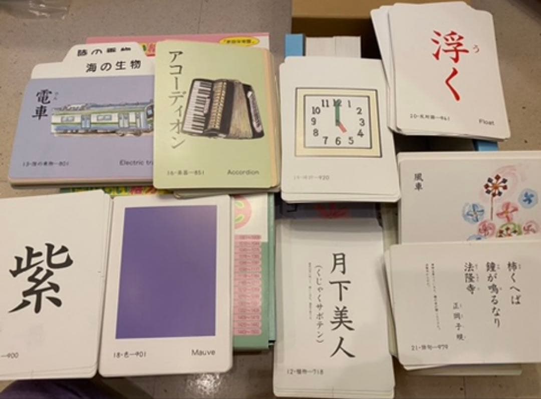 ⭐️家庭保育園　楽しい絵カード1500 CD(翻訳冊子付)セットフラッシュカード⭐️