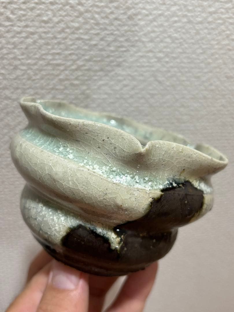 spicygem アーティストライン 藤原純 鶴仙園 鉢