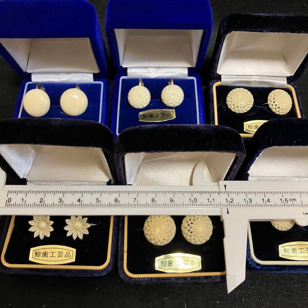 鯨歯工芸品　イヤリング6点セット