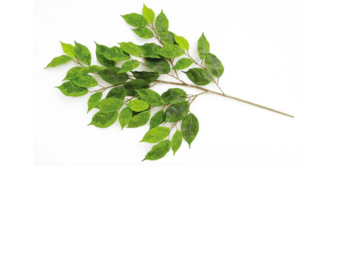 光触媒　人工観葉植物　ベンジャミナスプラッシュセパレート 300cm