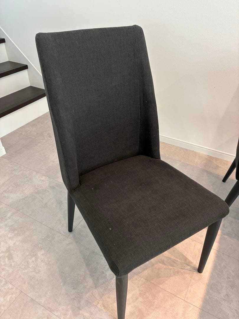 TARNY(ターニー) ダイニングチェア 2脚セット