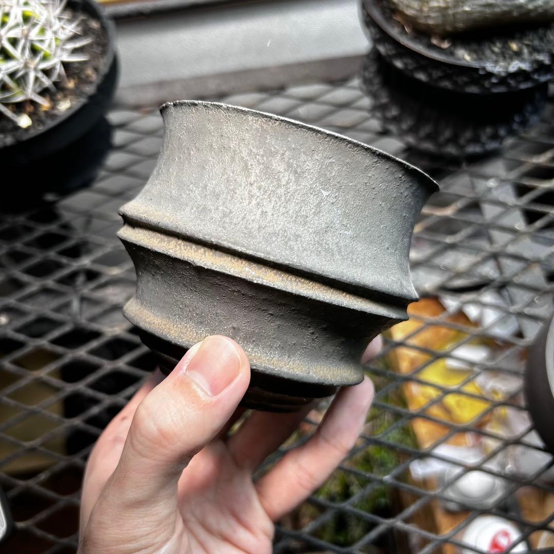 小野瀬一　作家鉢　塊根植物