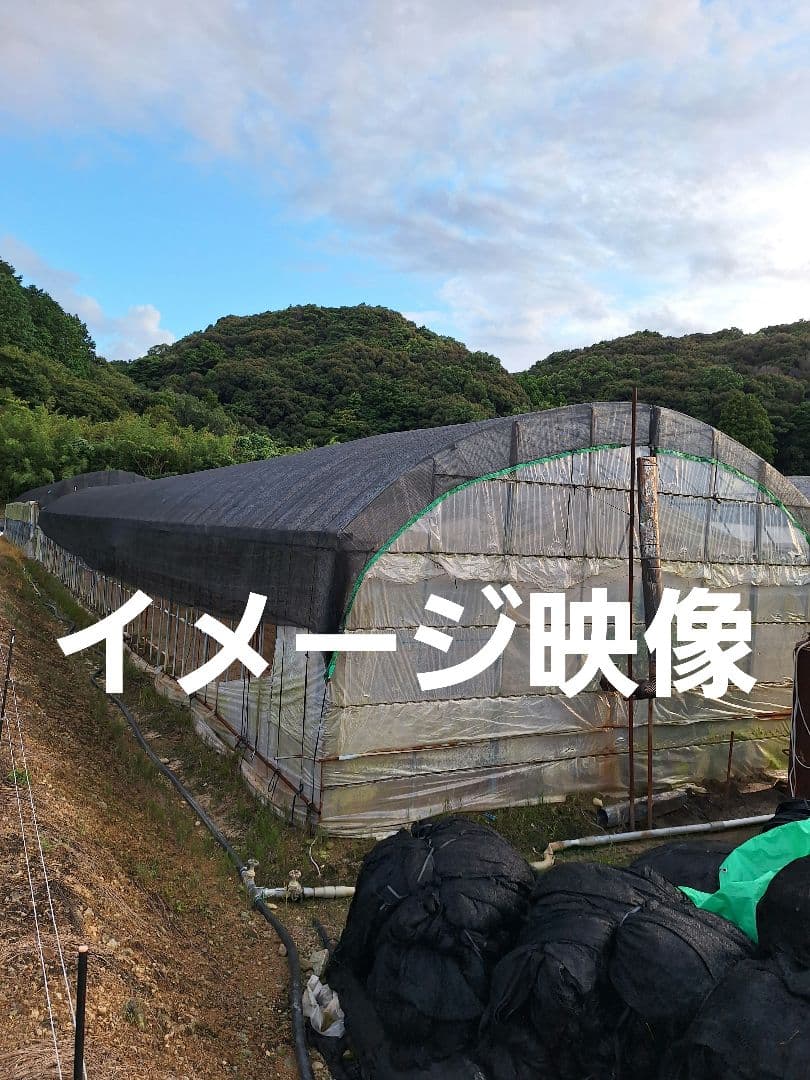 「お値下げ致しました』ハウス用遮光ネット(網タイプ)