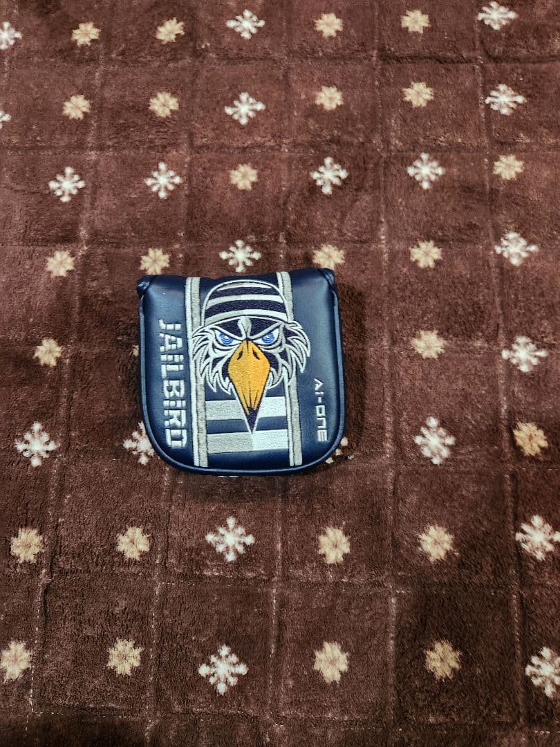 AI-ONE Square 2 Square Jailbird 34インチ