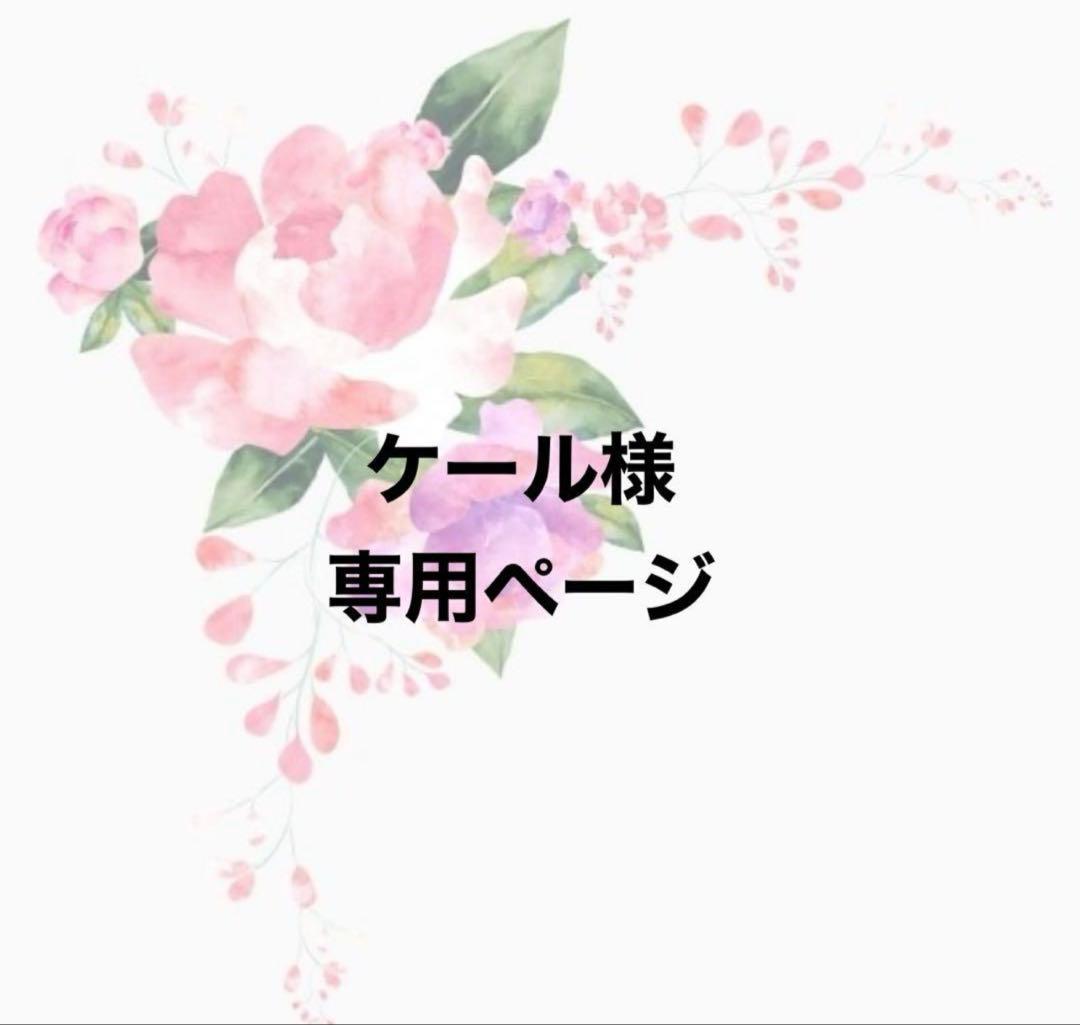 ケールページ②