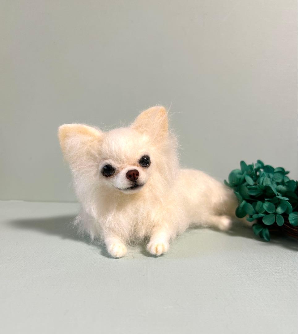 羊毛フェルト　伏せをするチワワちゃん