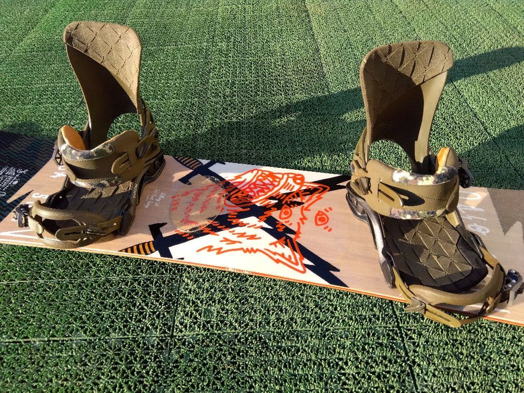 たぬ専用✨