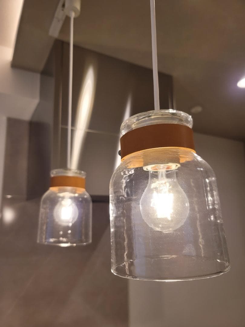 コイズミ LEDペンダントライト2点　ダクトレール用【G-2501TL2】