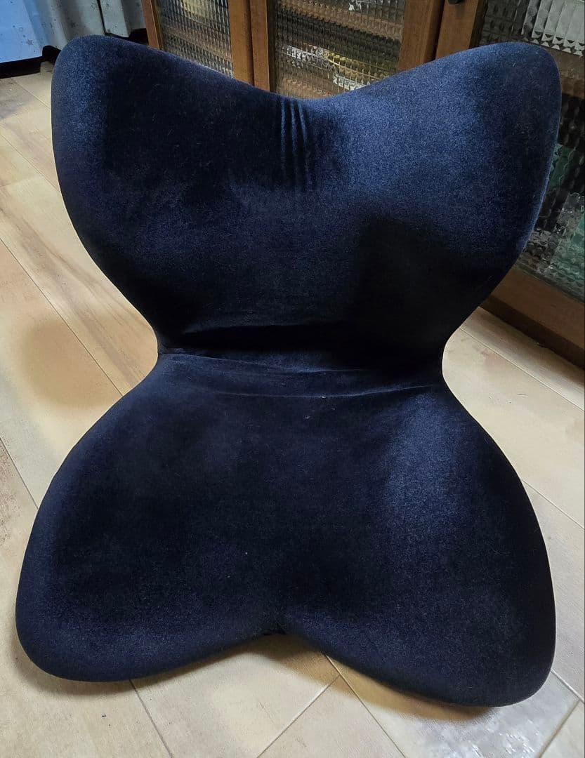 MTG エムティージー 骨盤サポート座椅子 Style PREMIUM DX 黒