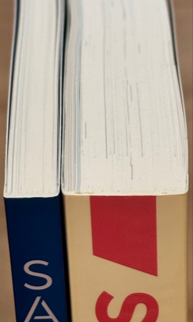 SAOA 鈴木豪 山本由美子 ANIMATION WORKS