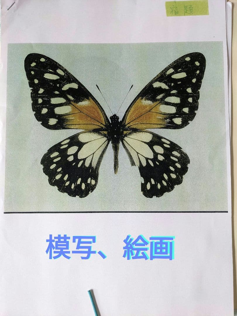お受験　早稲田クラス復習プリント　早稲田実業学校初等部