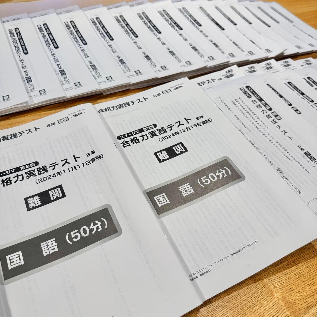 日能研 6年 学習力育成・合格力育成/実践テスト 解答解説付き 2024年度