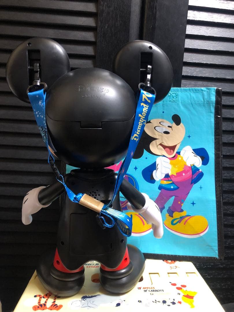 ミッキー カリフォルニア ディズニー 70周年ポップコーンバケットショップバック