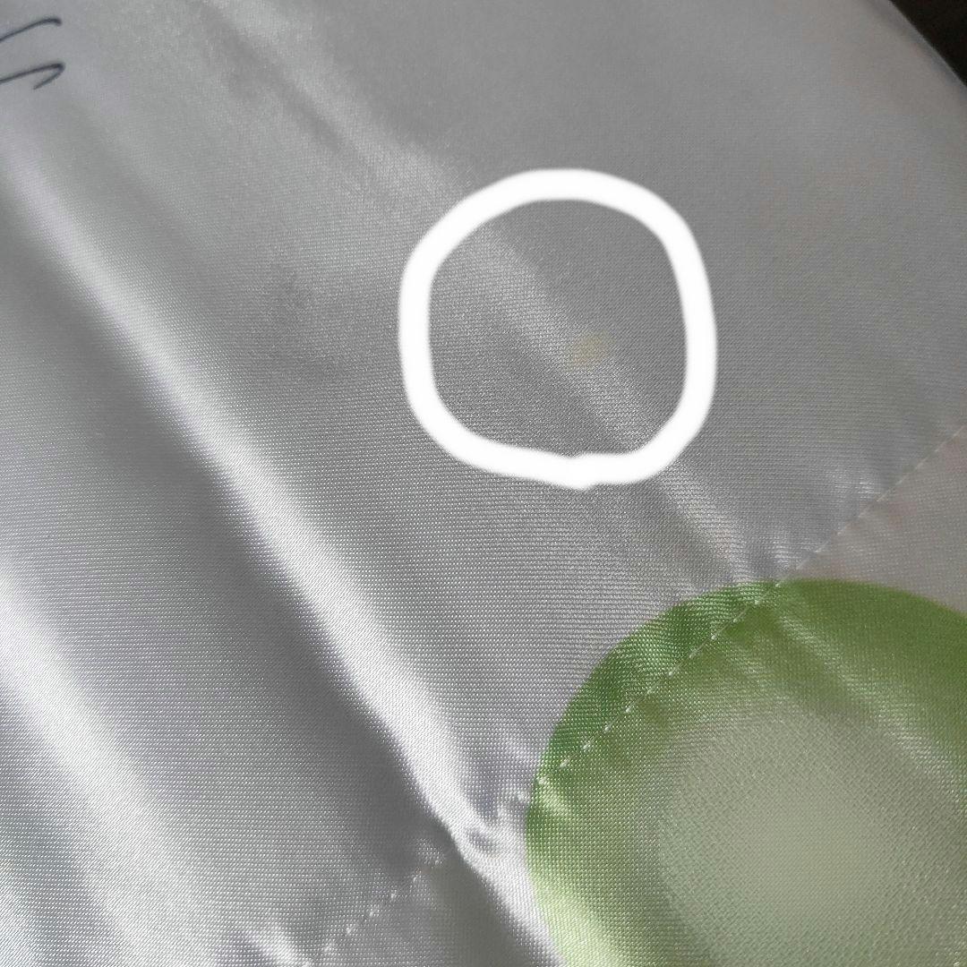 KSB ケーエスビー ヘルシーケット サマーマルチケット PVC ブルー