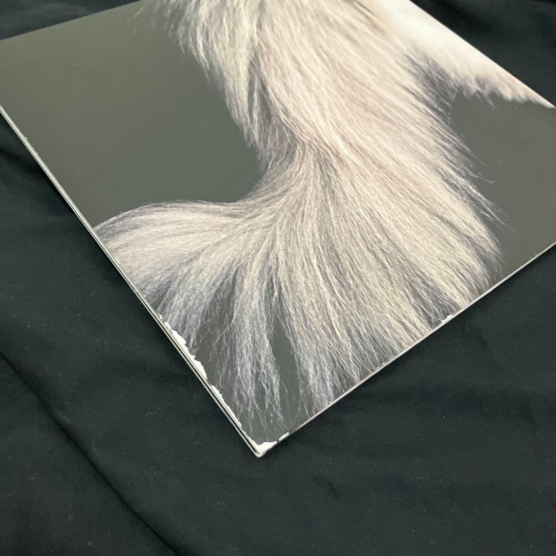 カネコアヤノ　燦々　LP レコード　アナログ盤