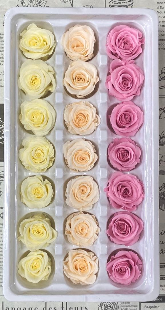 専用ページ おまとめ割引-1550円