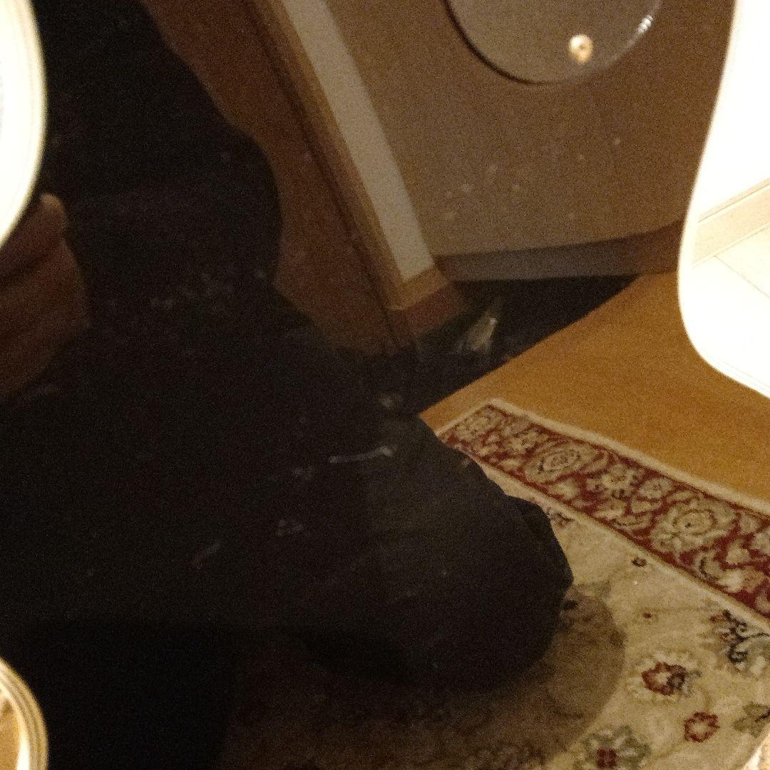 ピ*ド様 緊急セール【動作◯整備】Photogenic 　レスポールタイプ　エレ