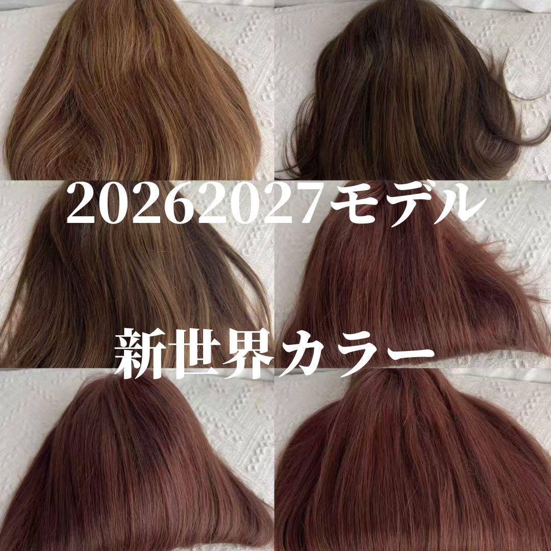 新世界　高級レミー100%　ウィッグ　ヘアピース　シルクスキン　部分ウィッグ