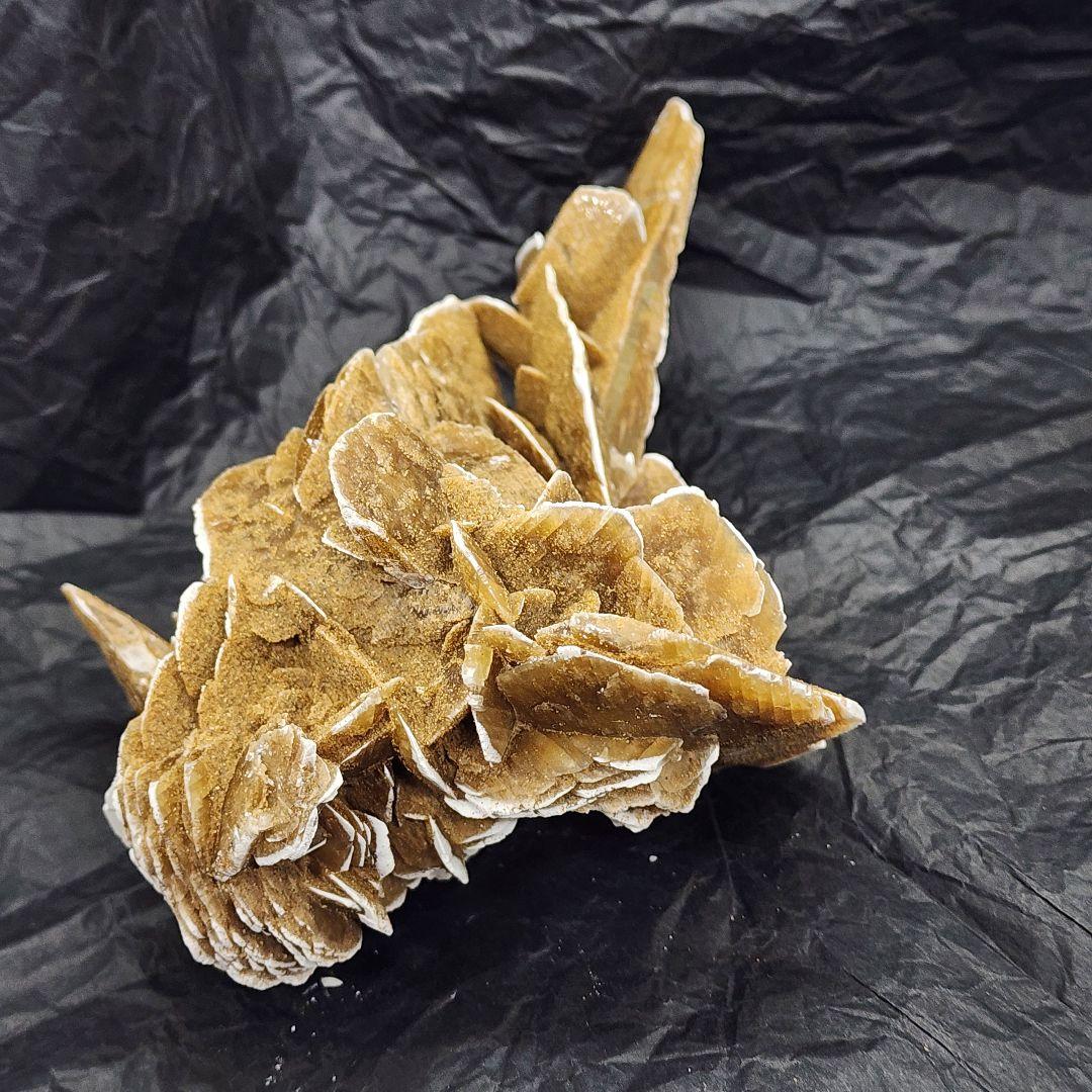 天然石 砂漠ローズ 美しいローズ状結晶 約16cm