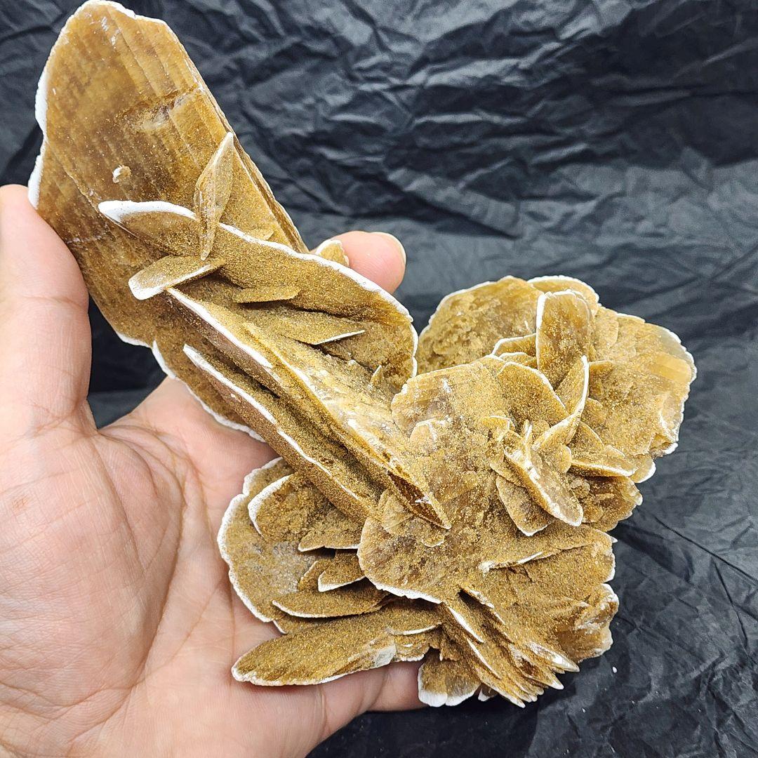 天然石 砂漠ローズ 美しいローズ状結晶 約16cm