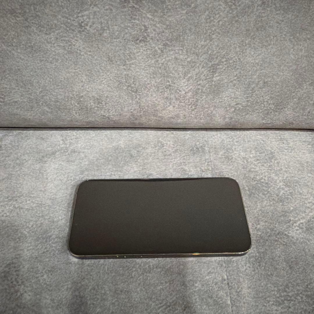 Apple iPhone 13 Pro Max 256GB 美品