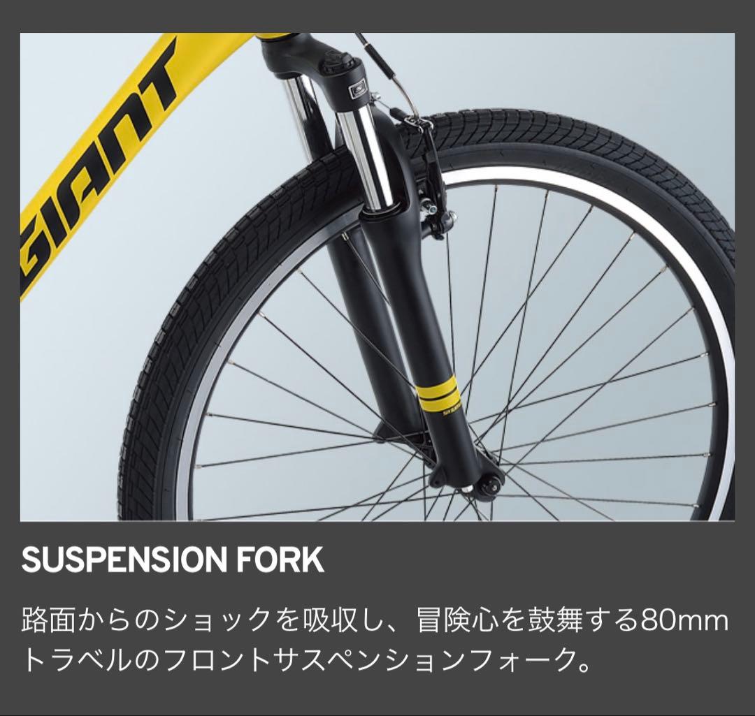 Rojan Rajthala　giant SNAP2022年白マウンテン