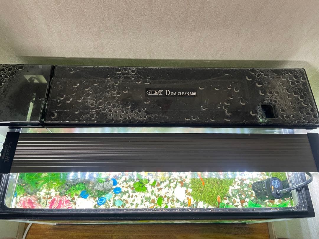 GEX 中型ガラス水槽 LEDライト付き