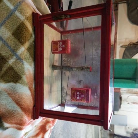 昭和時代の硝子ケース