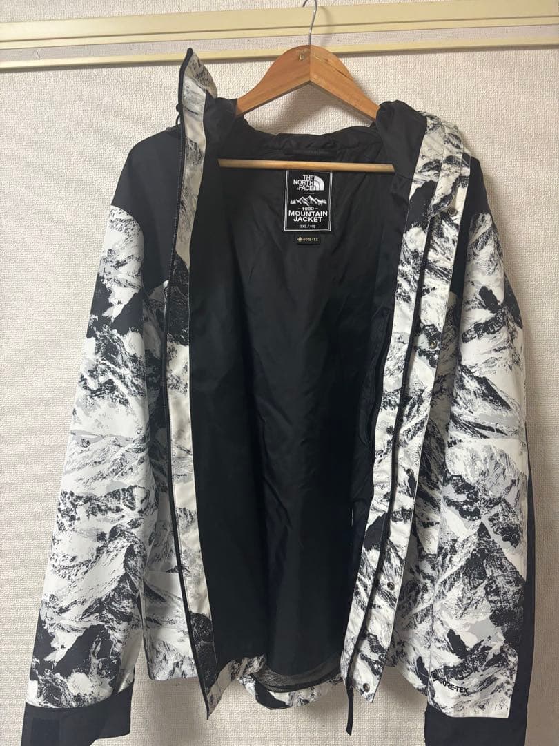 THE NORTH FACE ゴアテックスマウンテンパーカー　NJ2GN60B