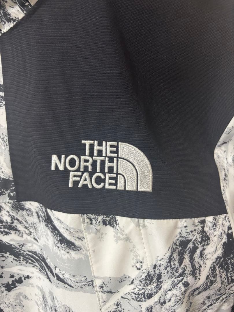 THE NORTH FACE ゴアテックスマウンテンパーカー　NJ2GN60B