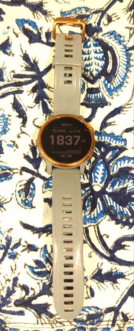 ★間近★Garmin 6S Sapphire ☆美品☆★希少☆