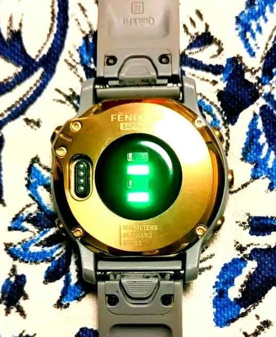 ★間近★Garmin 6S Sapphire ☆美品☆★希少☆