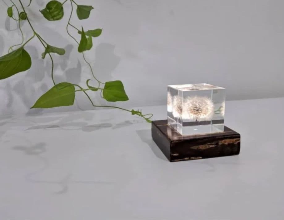 ソラキューブ ヤエベニシダレ ＆ Light Base maru 無地皮
