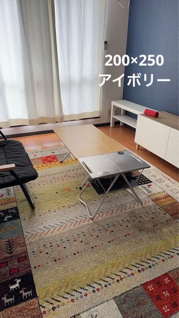 ギャッベ柄　ラグ　メルトン織　サイズ200×250 カラー…アイボリー