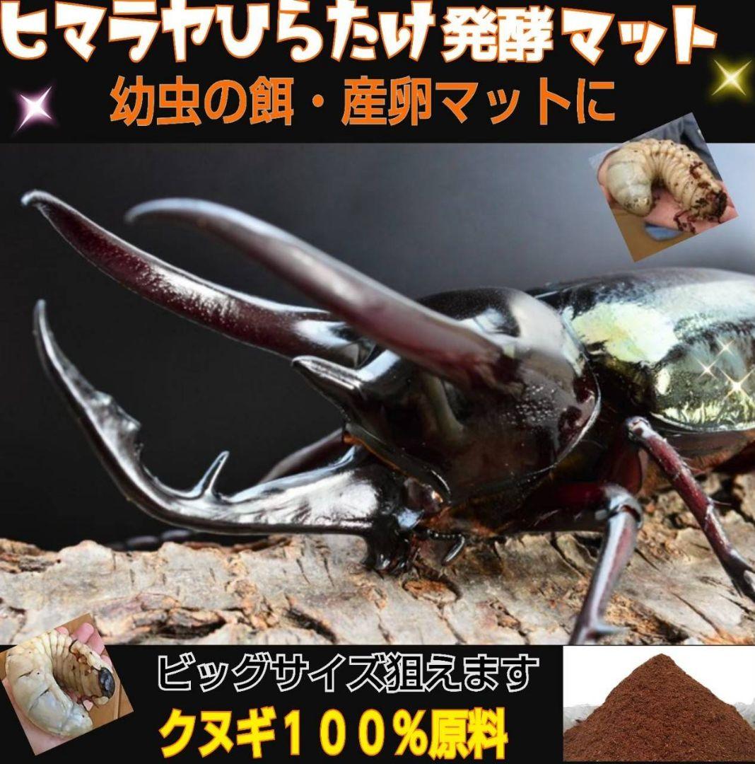 カブトムシ幼虫が大きくなる！栄養たっぷり！発酵マット【6袋】雑虫も湧きません！