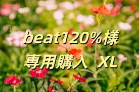 beat120%購入 XL