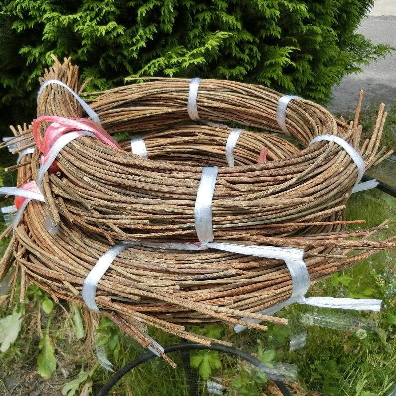 みっくん 青森県岩木山採取　あけび蔓　長 短 各1kg　合計2kg 練習用