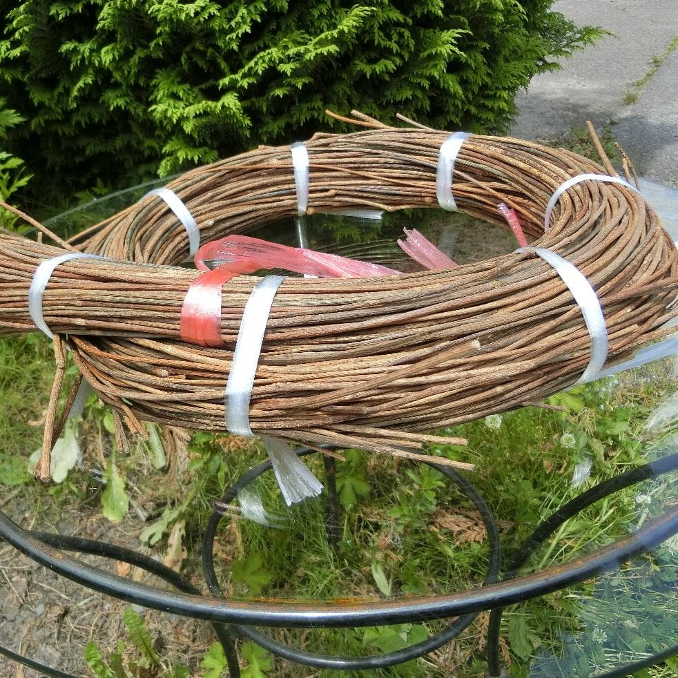 みっくん 青森県岩木山採取　あけび蔓　長 短 各1kg　合計2kg 練習用