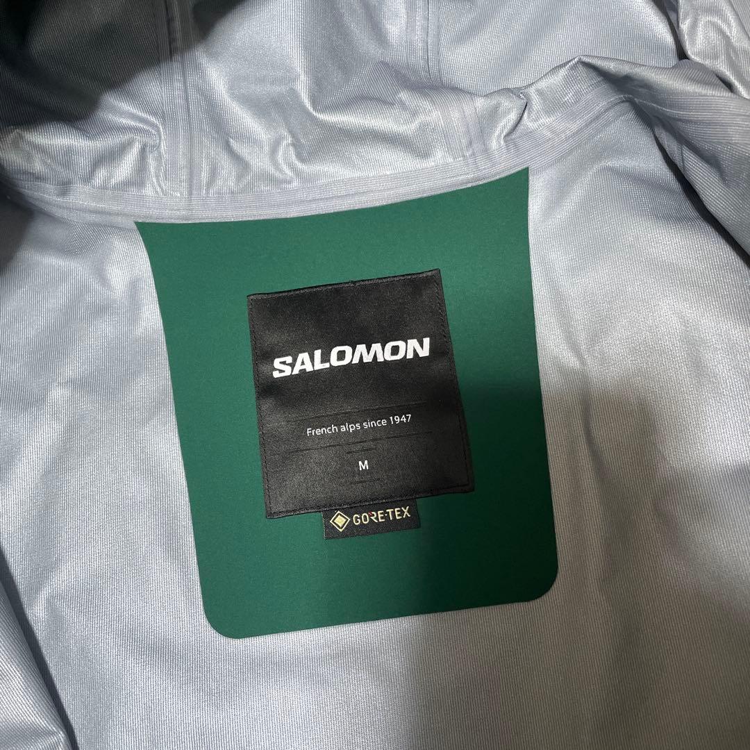 Salomon 韓国限定　gore-tex マウンテンパーカー