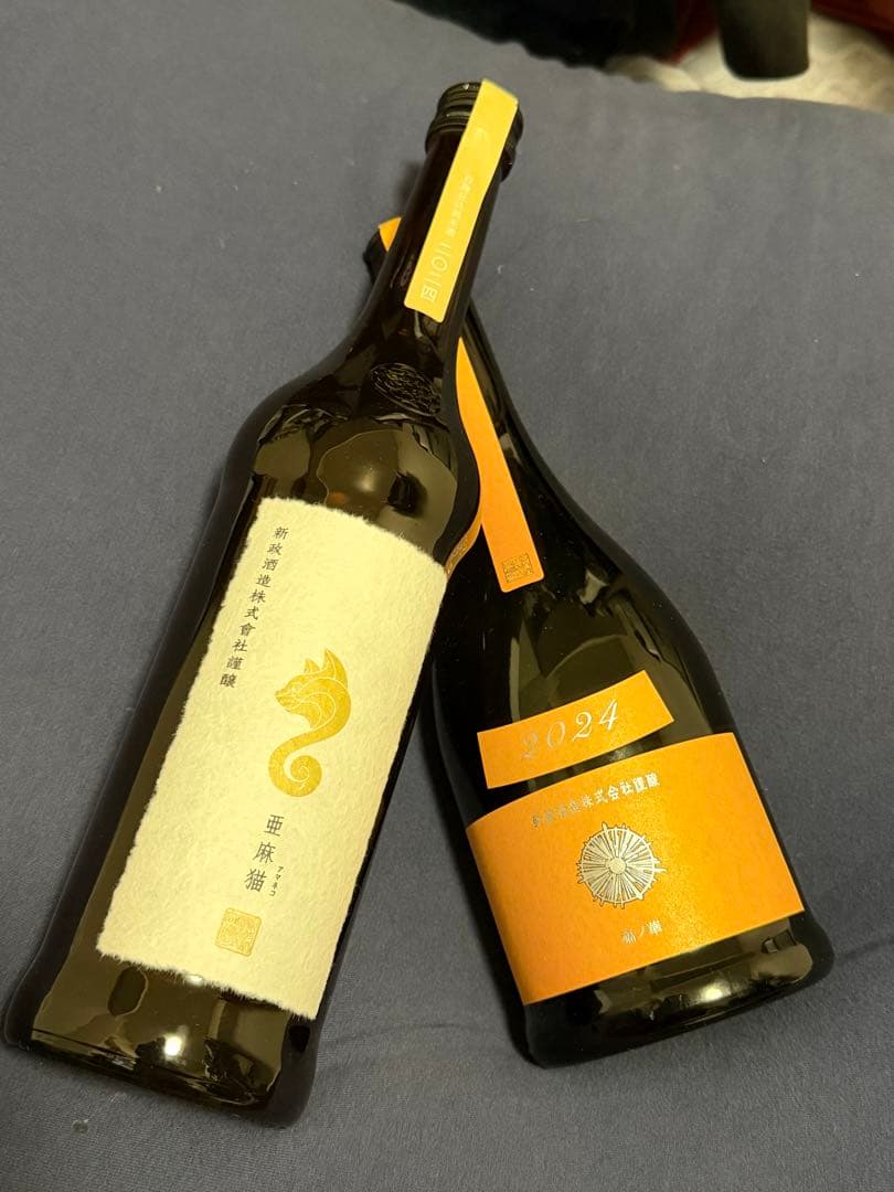 新政　亜麻猫✖️タンジェリン