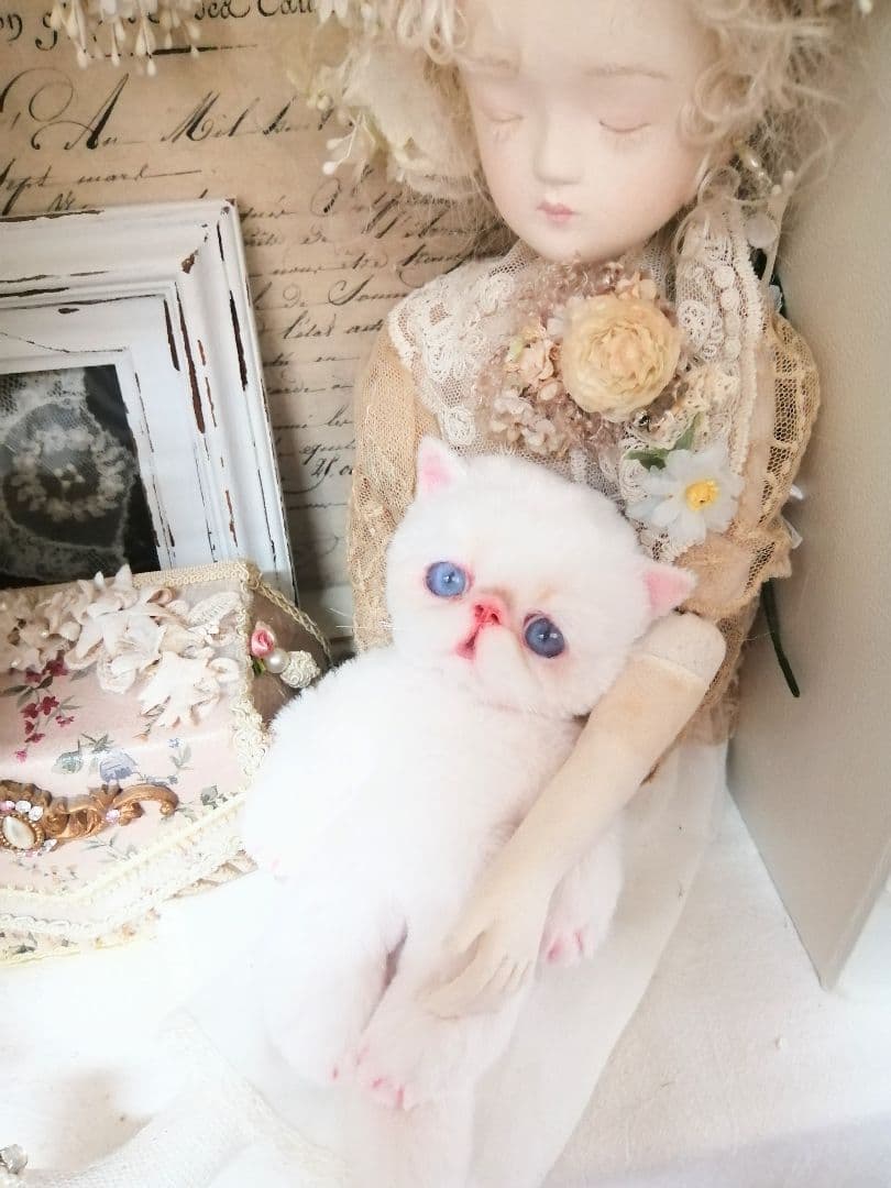 ポッケにゃん♡エキゾチック子猫ちゃん♡アートドール♡ぬいぐるみ♡ラビットファー調