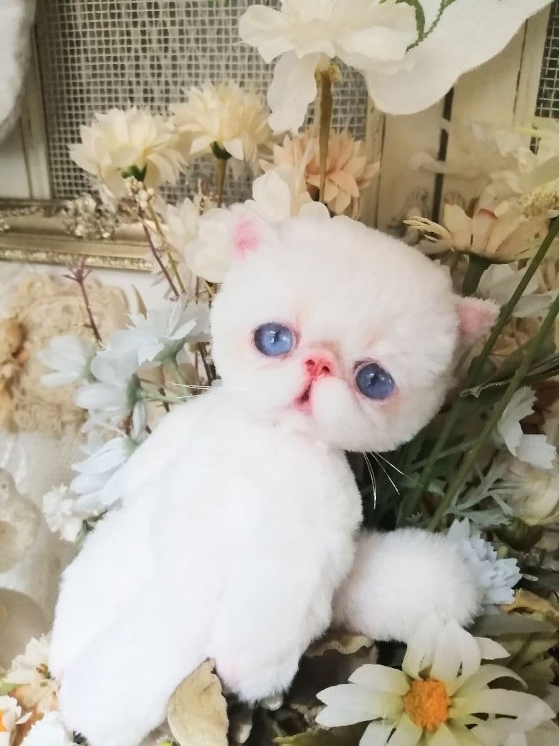 ポッケにゃん♡エキゾチック子猫ちゃん♡アートドール♡ぬいぐるみ♡ラビットファー調