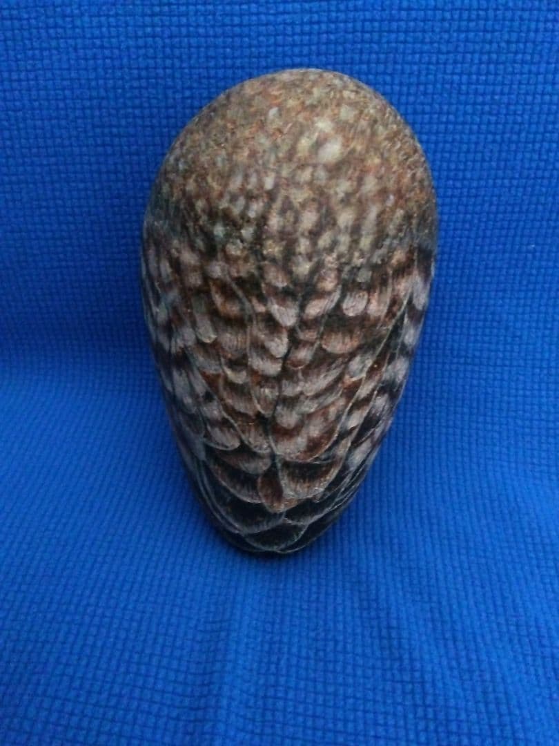 ストーンアート作品：　幸せを呼ぶフクロウ